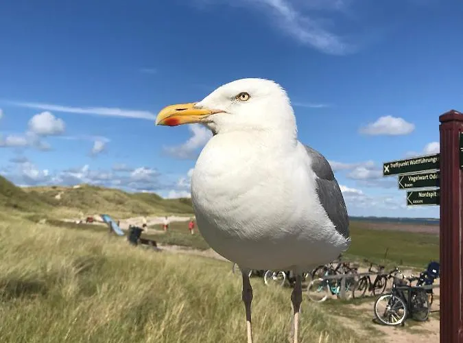 Oceanview Appartement *