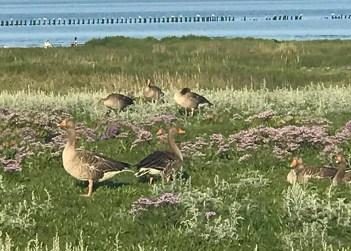 Appartement Oceanview Wittdün